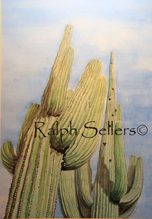 saguaros-watermarked
